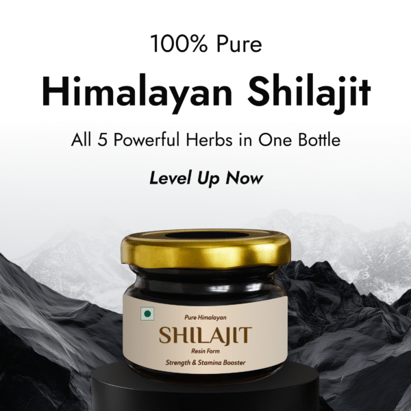 Himalayan Shilajit Resin